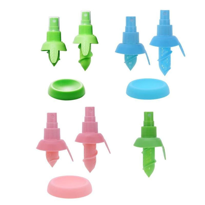 Fruit Juice Sprayer
