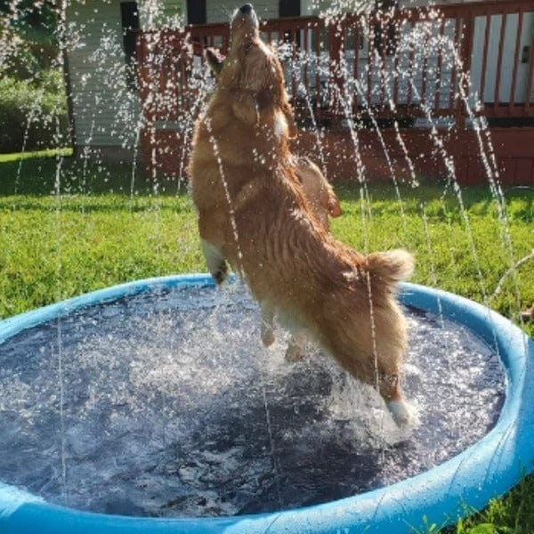 Summer Splash Pad for Kids and Pets