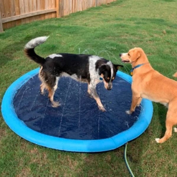 Summer Splash Pad for Kids and Pets