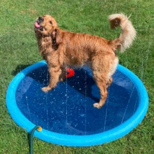 Summer Splash Pad for Kids and Pets