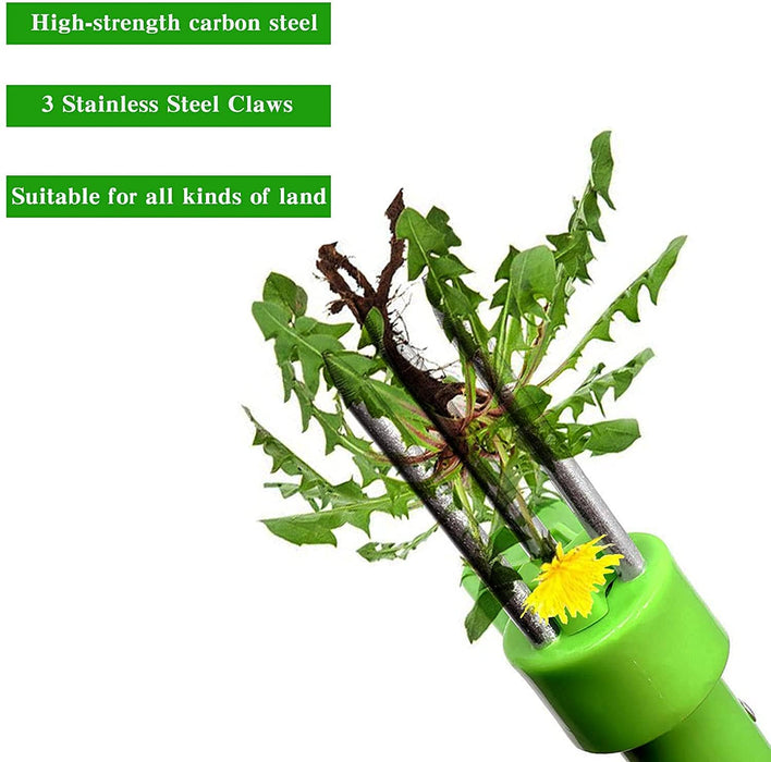 Weed & Root Removal Tool