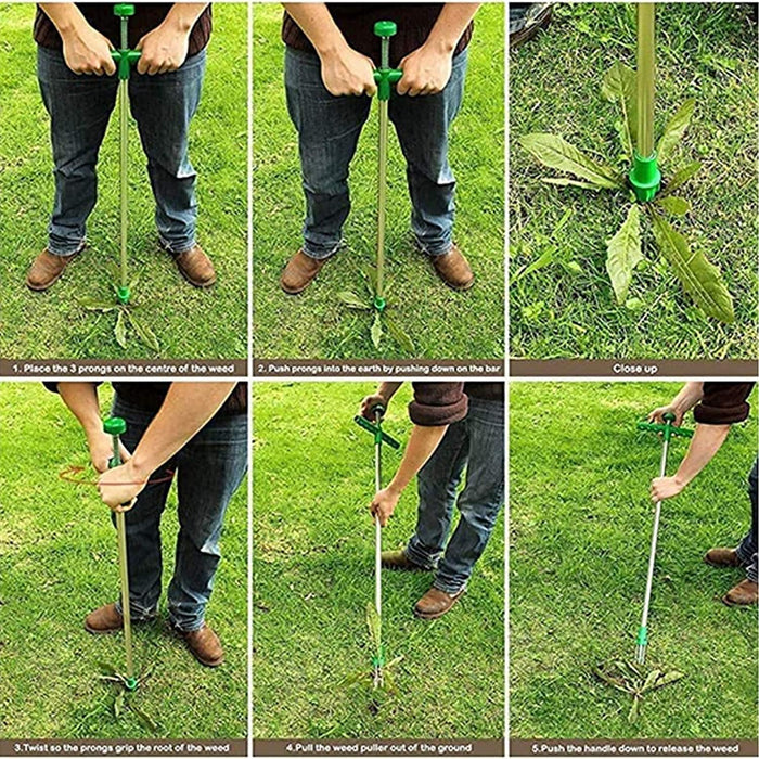 Weed & Root Removal Tool