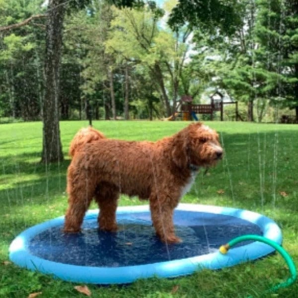 Summer Splash Pad for Kids and Pets