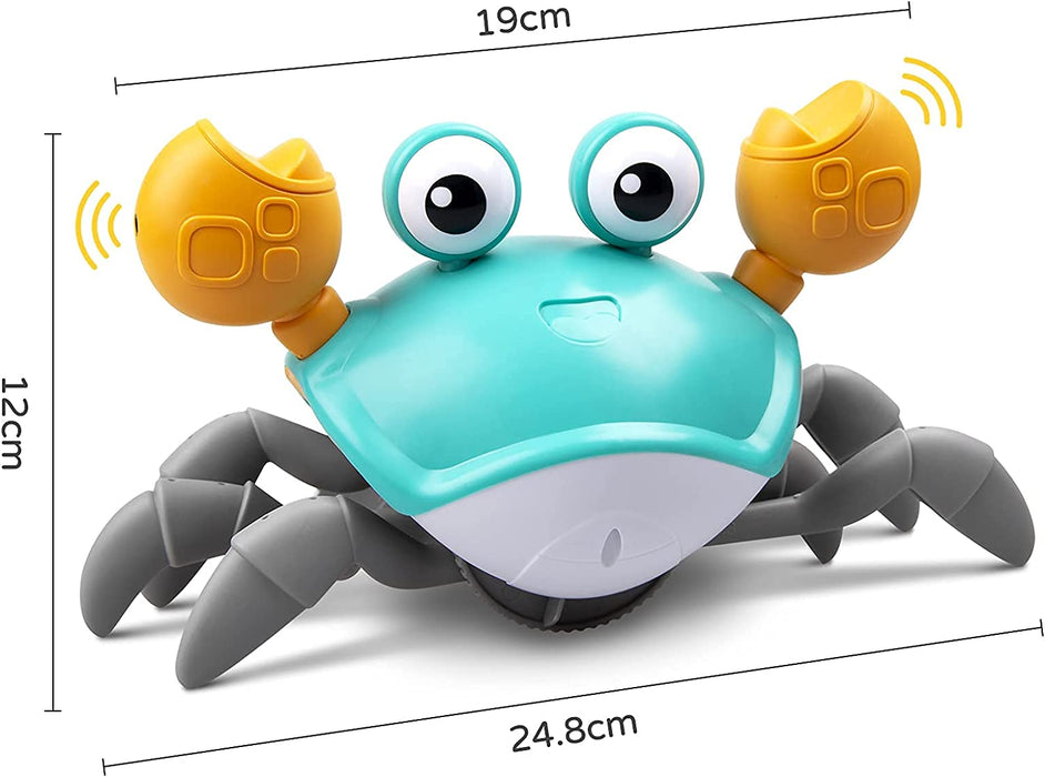 Tummy Time Crab by O&H