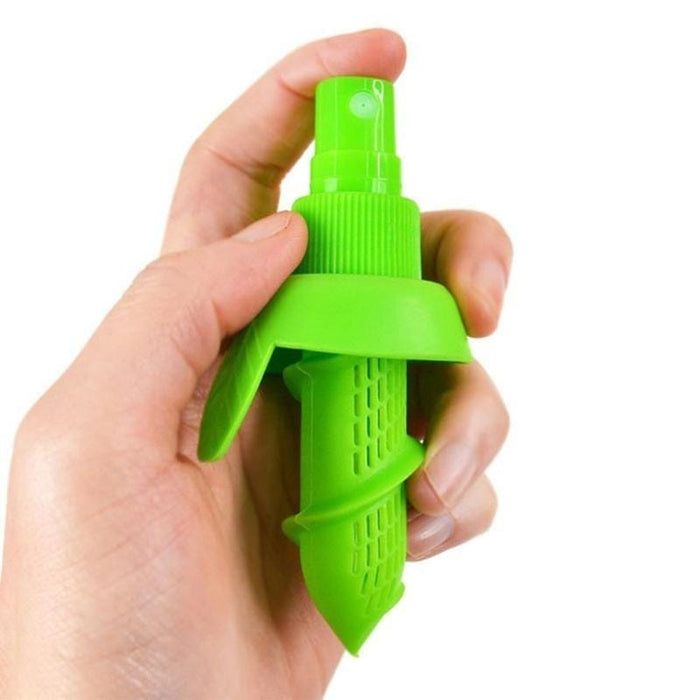 Fruit Juice Sprayer