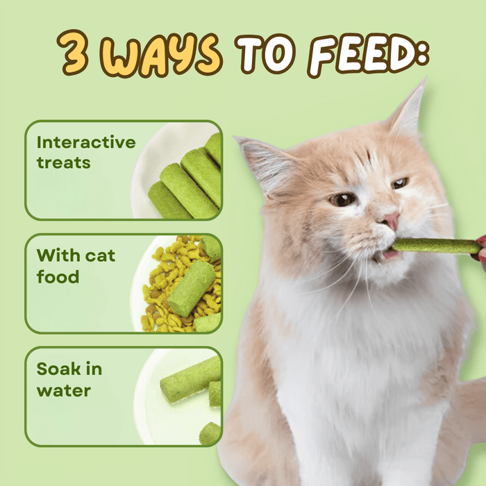 Kitty's Natural Teething Toy - Catnip-Infused Grass Stick