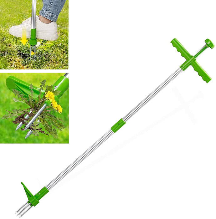 Weed & Root Removal Tool