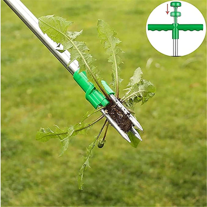 Weed & Root Removal Tool