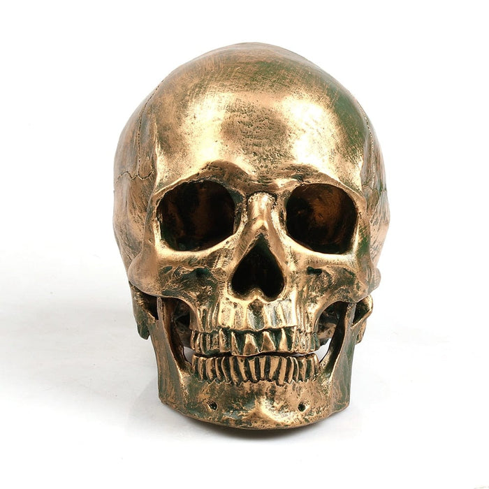 Bronze Resin Skull Model Home Decor