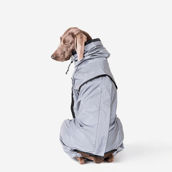 Reflective All-Weather Waterproof Dog Rain Coat